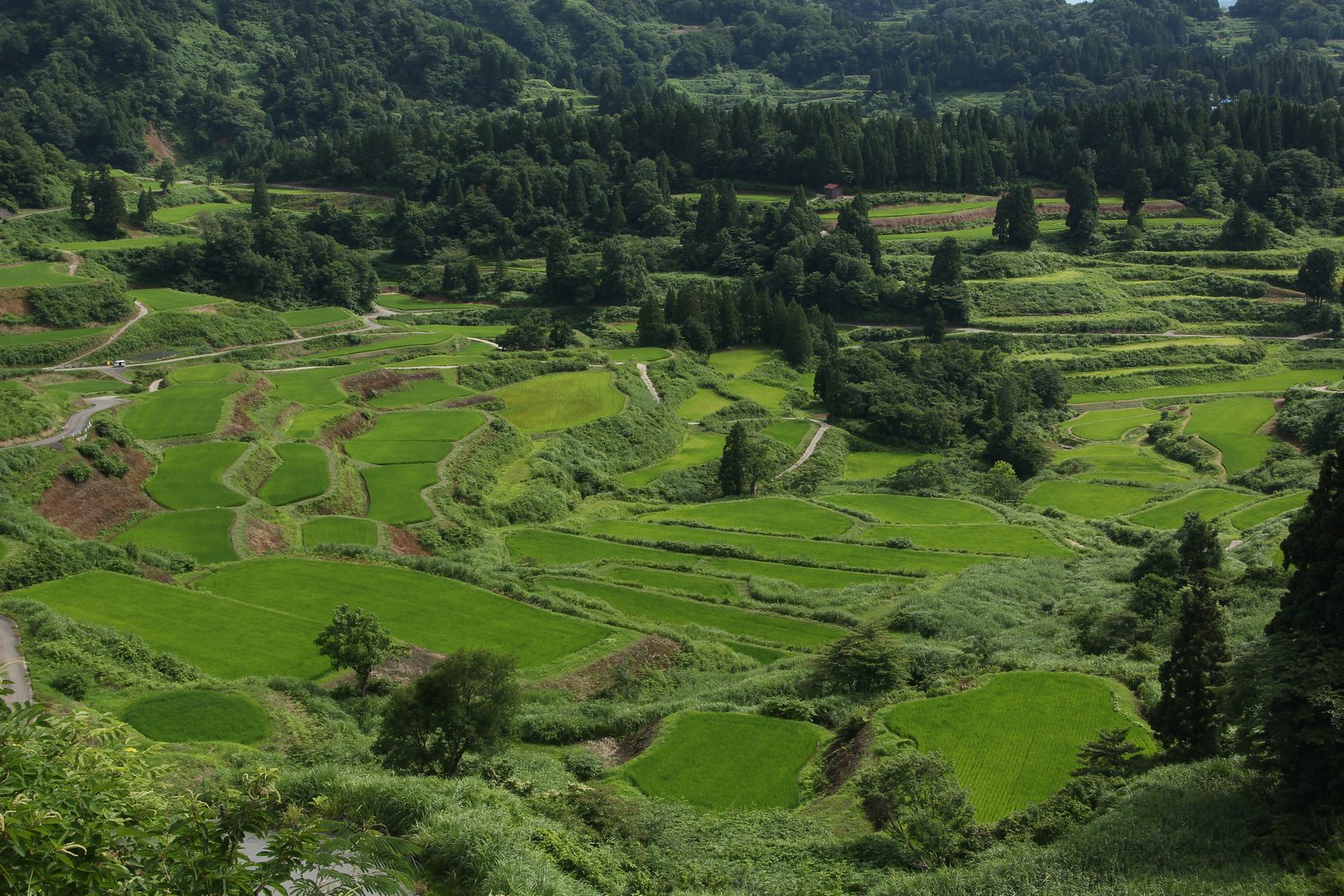 張望里山的背後–小探越後妻有大地藝術祭