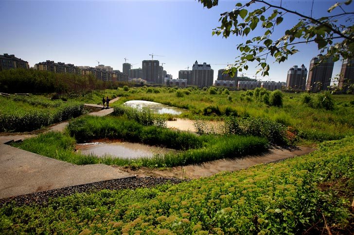 我們的公園park Ii 永續生態公園的願景 眼底城事