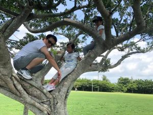 爬樹是兒童身體能力鍛鍊的最好機會，新闢公園不易有強壯的樹木供兒童攀爬(照片來源：林珈玟)