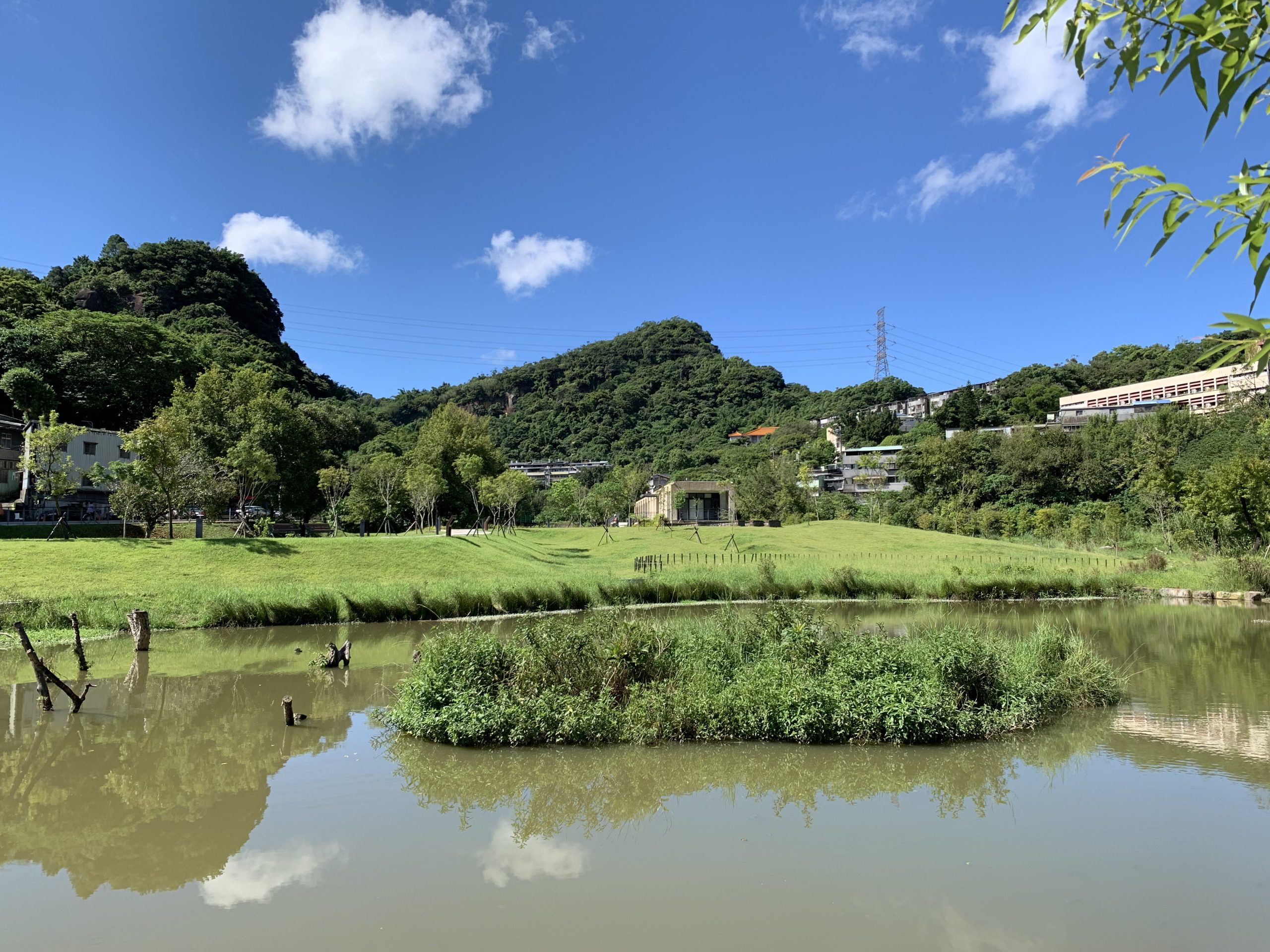 永春陂的棲地營造經驗：為生物而規劃，做真的生態公園！